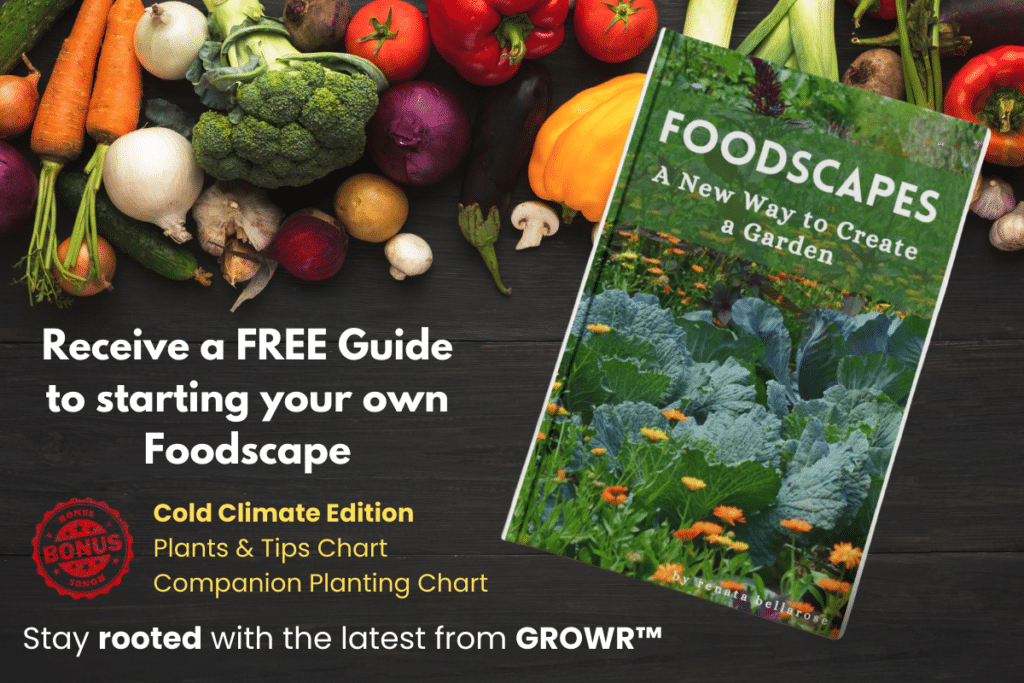 Free Ebook - FOODSCAPE - A New Way to Create a Garden