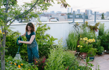 How to Transform Your Rooftop into a Productive Foodscape? - GROWR