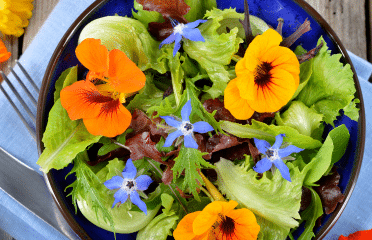 What Are the Best Edible Flowers for a Vibrant Foodscape? - GROWR