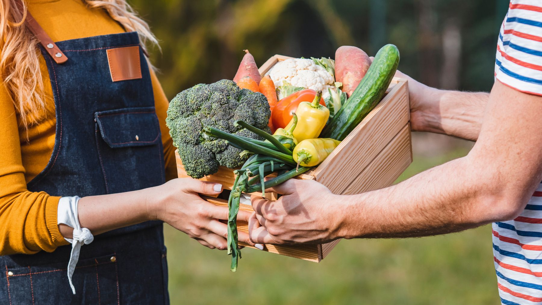 Two people sharing a crate of fresh vegetables.