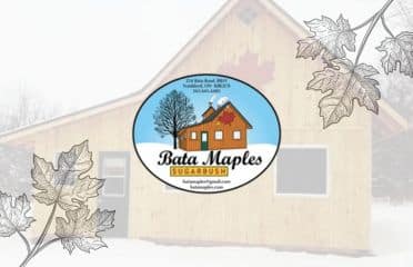 Bata Maples Sugarbush