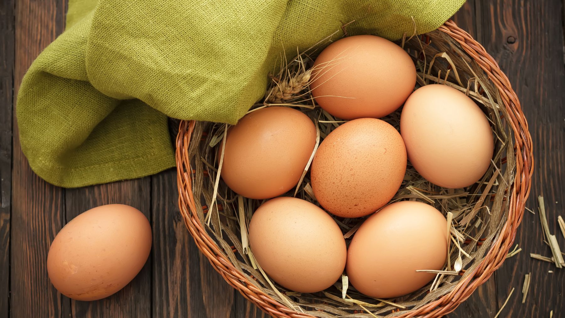 Crack the Code with 6 GROWR Hacks for Egg Sellers