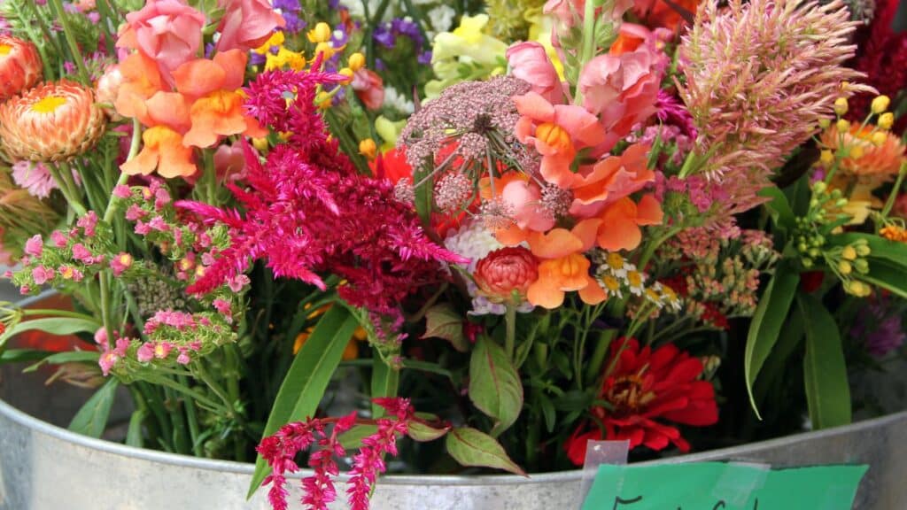 Colorful assorted fresh flowers in a bucket.