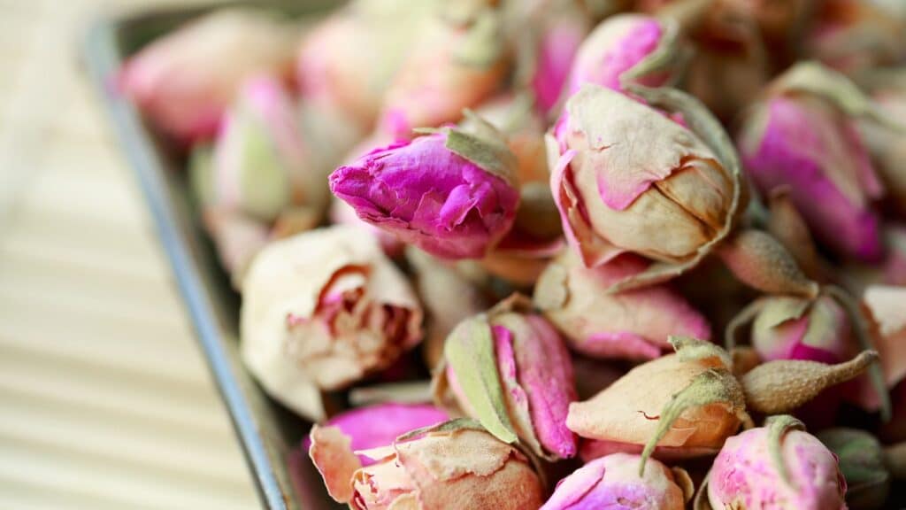 Dried pink rose buds close-up.