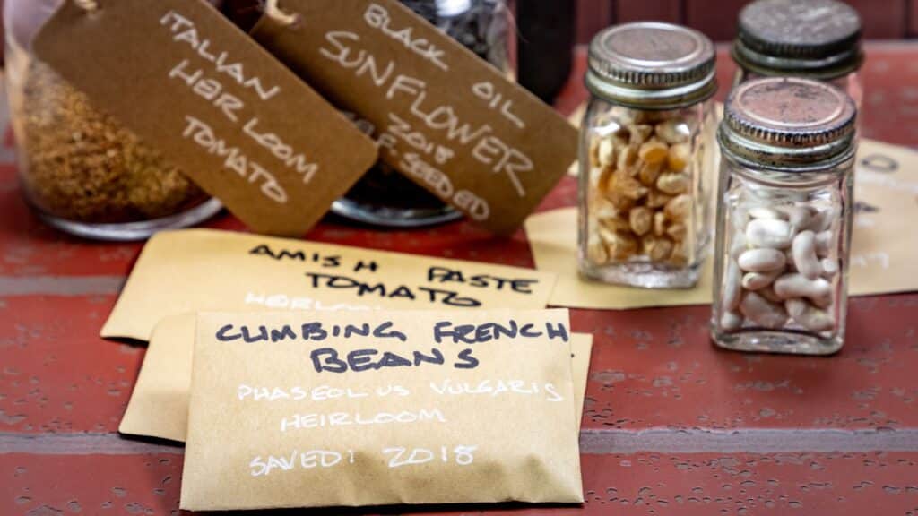 Heirloom seeds in jars with labeled packets on table.