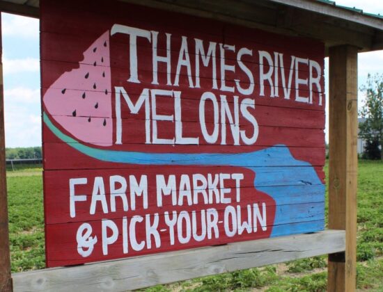 Thames River Melons